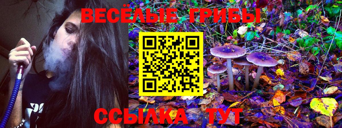 Галлюциногенные грибы Cubensis  Вход с VPN  Минеральные Воды 